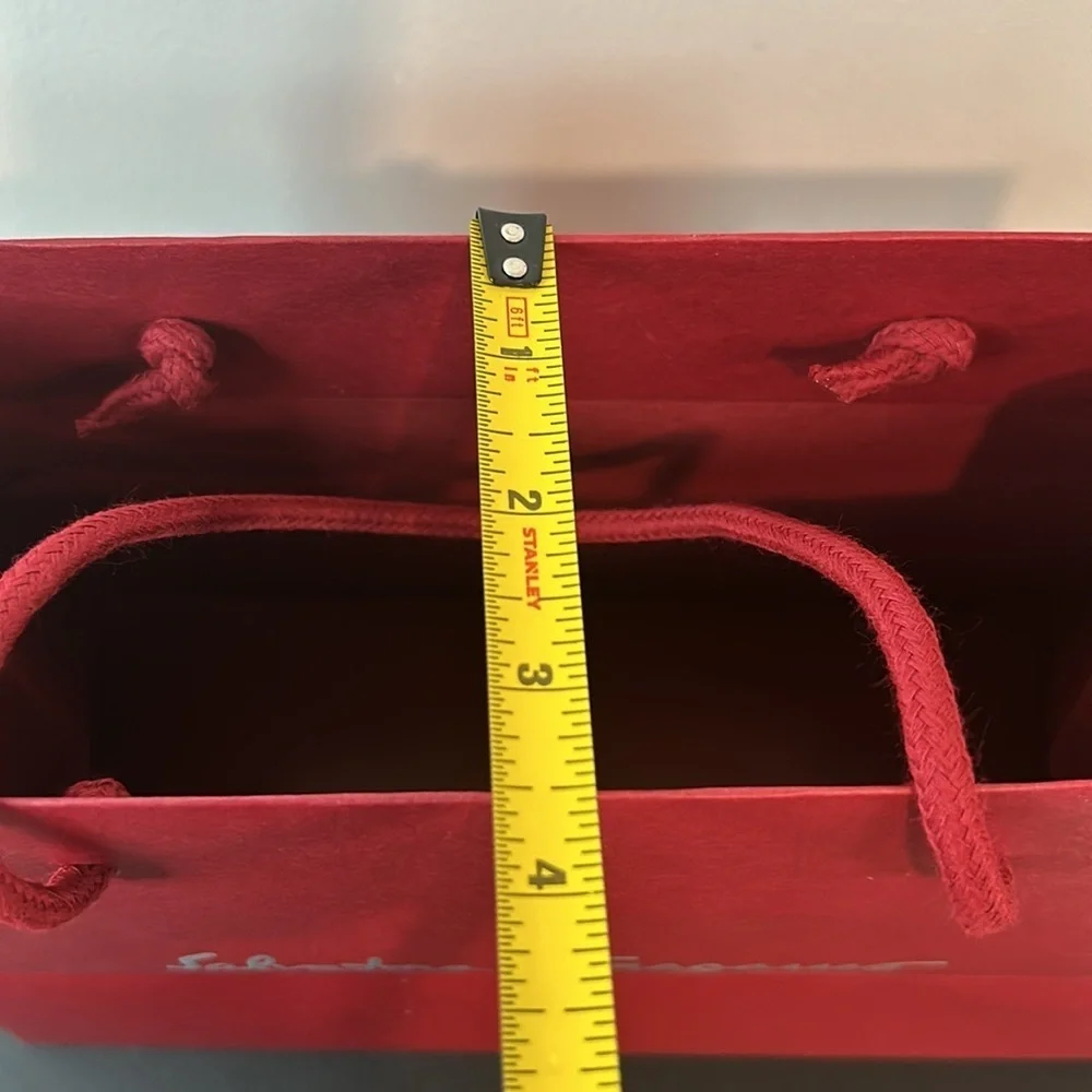 Salvatore Ferragamo gift bag small size